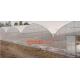 Agriculture silver black plastic mulch film 8 micron,Reflective and Protective White and Black Color Panda Agricultural