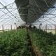 External Shading System vegetable Light Deprivation Greenhouse for Plants Cultivation