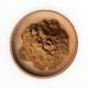 Agriculture 100% Water Soluble Fulvic Acid Molasses Powder Fertilizer Soil Conditioner
