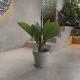 Vibrant Eco Friendly Plastic Garden Pots Waterproof 250*175*230MM