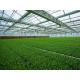 Prefabricated Light Steel Structure Agricultural Vegetable Greenhouse Q235 ISO9001