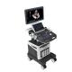 4D Medical Ultrasound Machine Elastography Trolley Ultrasonic Scanning Machine