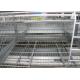 Commercial H Type Poultry Cage Conventional Cages For Laying Hens