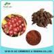 Tsaoko Amomum Fruit Extract / Fructus Tsaoko Extract Powder 4:1 - 20:1