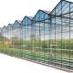 Greenhouse Poly Film/ plastic cover for greenhouse Film Polyethylene  For Anti-Dripping & Anti-Fogging Greenhouse Film