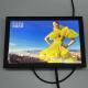 LED IPS LCD Display Panel Monitor Screen 1920x1200 Resolution Wide Viewing Angle