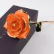 Rose Long Stem Dipped 24k Gold Rose preserved rose  in Gift Box with Clear Display Stand Best Gift Wholesale rose gift
