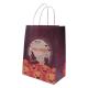 Recycled Shopping Paper T Shirt Bags With Paper Twist Rope FSC FDA Certified