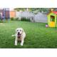 Pet-Friendly Artificial Playground Padded Turf For Dogs UV Resistant