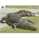 Water Park Simulation Life Size Animatronic Animal Realistic Crocodile Models