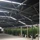 Automatic Light Deprivation Greenhouse Blackout System Greenhouse For Medical Plants