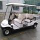 AC System 4 Seater Electric Golf Cart Utility Vehicle Service Cargo Carts