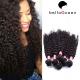 Shedding Free Raw Unprocessed Peruvian Curly Hair Extensions 10 inch - 30 inch