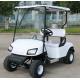 3000W Electric Vintage Cars 2 Seats / Tourist Electric Golf Buggy