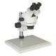 Interpupillary Distance Trinocular Compound Microscope Binocular Inclined At 45°