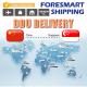 Repacking Warehousing DDU Shipping , Shipping From China To Singapore