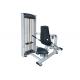 Commercial Matrix Tricep Dip Machine , Indoor Gym Silver Workout Equipment