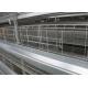 High Efficiency Layer Hen Cages Battery Cage System For Layers ISO9001 Approved