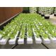 Chinese factory industrial hydroponics growing systems NFT  for sale