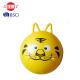 Hoppity Hop Ball With Air Pump , 65cm Child's Bouncy Ball With Handle