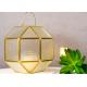 Glass greenhouse handle lamp copper golden color hanging landscape bottle flower glass box candle holder lampshade
