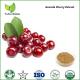 acerola cherry extract vitamin c,acerola cherry extract powder