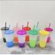 Temperature Sense Gradient Drinking Cup 700ml 24oz Plastic With Straw And Lid