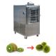 Dragon Fruit Fig Slice Freeze Drying Machine 50Kg Fruit Vacuum Freeze Dryer