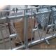 Galvanized Steel Tube Cattle Headlock Feeder Panels Easy To Install And Operate