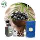 Yellow Acai Berry Essential Oil For Weight Loss CAS 71963-77-4