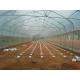 9x30 Tropical Green House Sawtooth Top Ventilation High Tunnel Greenhouse