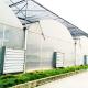 Negative Fan Cooling System Plastic Film Greenhouse Shading Multi Span Automatic