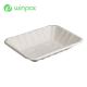 Party Compostable Fruit Meat 220ml Sugarcane Bagasse Tray Disposable Biodegradable