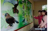 Guangdong launches 30th Bird-loving Week