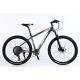 Manufacture 12 Speed Gears Mountain Bike with Double Wall Rim and Classic Design