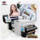 Constant Weight Automatic Sensing DTF Film Printer  With 2 Original Epson I3200 Nozzles