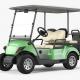 1000kg 100km Passenger Limo Golf Cart Custom