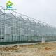 3.0m To 8.0m Gutter Venlo Tempered Glass Greenhouse For Flowers