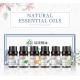 10ml 6pcs Aromatherapy Essential Oil Set Healthy Care Custmoized