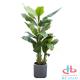 Beautiful Artificial Green Plants Pot ISO Standard