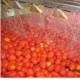 Automatic Tomato Paste Processing Line High Speed