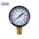 customizable rear mounting 150 psi hot sale 60mm general manometer M12X1.5 air
