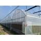 Hot Galvanized Frame Dome Lettuces Plastic Cover Greenhouse