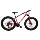 Exercise Sports 29 inch Mountain Bike for Men and Women Good Leather Saddle