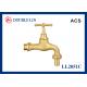 ISO228 Thread Sand Cast Brass Hose Bibcock