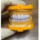 Ivoclar Emax Laminate Veneers High Translucency China Dental Lab