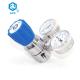 R41 Natural Gas Pressure Regulator High Pressure Wall Pressure Relief Structure