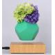Magnetic Floating Air Bonsai levitation air bonsai planter flower potted vase for gift