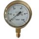 2.5'' 63MM Capsule Low Pressure Gauge