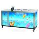 Ice Lolly Commercial Refrigerator Freezer Sk Series Stainless Steel